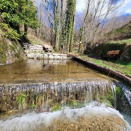 La Bouletiere Bed & Breakfast Dourbies Bagian luar foto