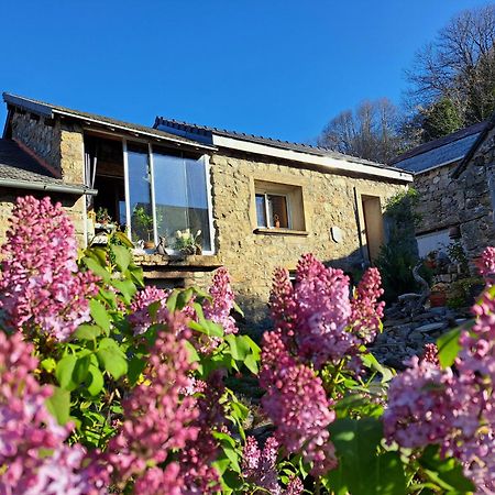 La Bouletiere Bed & Breakfast Dourbies Bagian luar foto