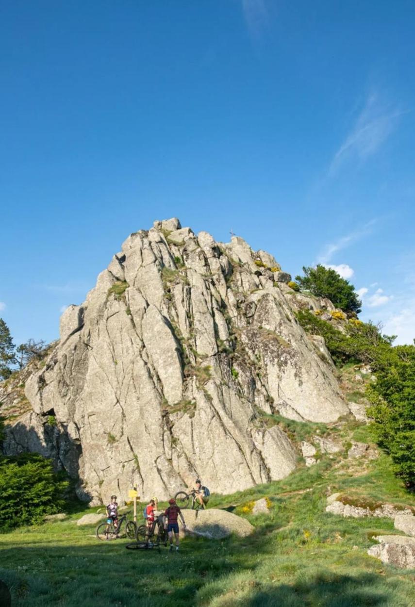 La Bouletiere Bed & Breakfast Dourbies Bagian luar foto