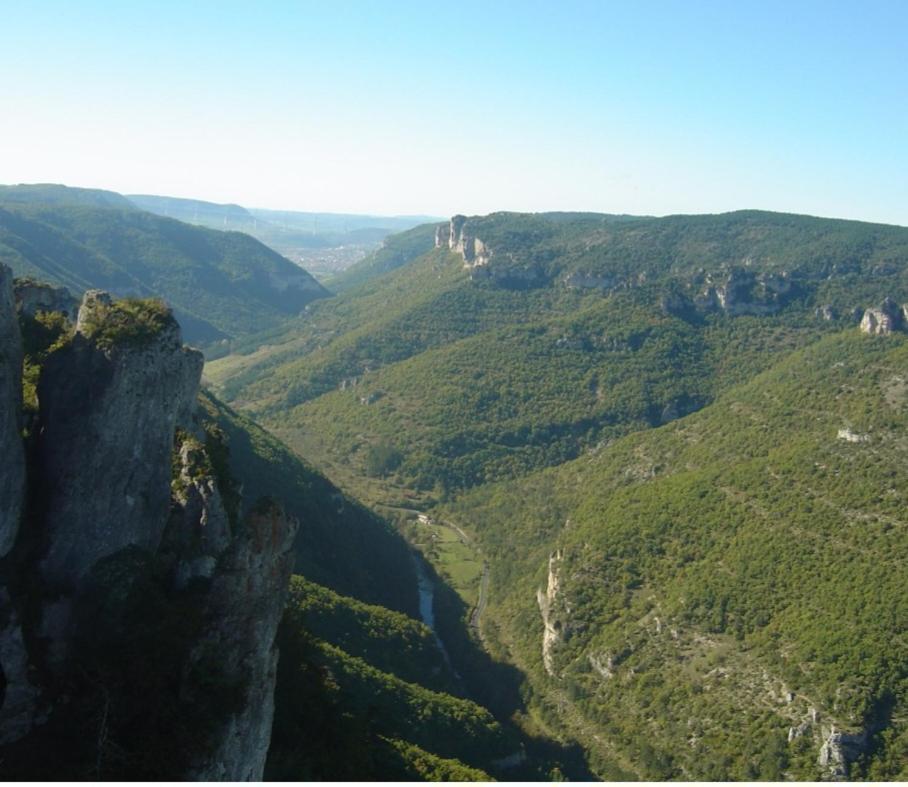 La Bouletiere Bed & Breakfast Dourbies Bagian luar foto