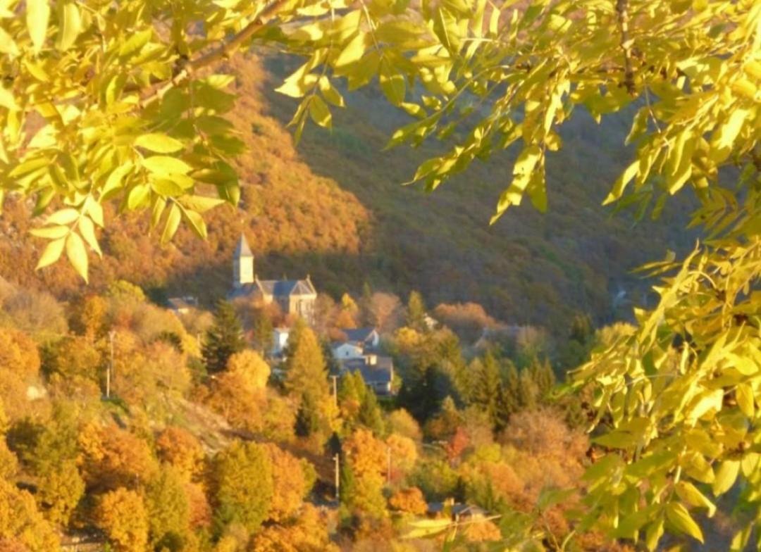 La Bouletiere Bed & Breakfast Dourbies Bagian luar foto