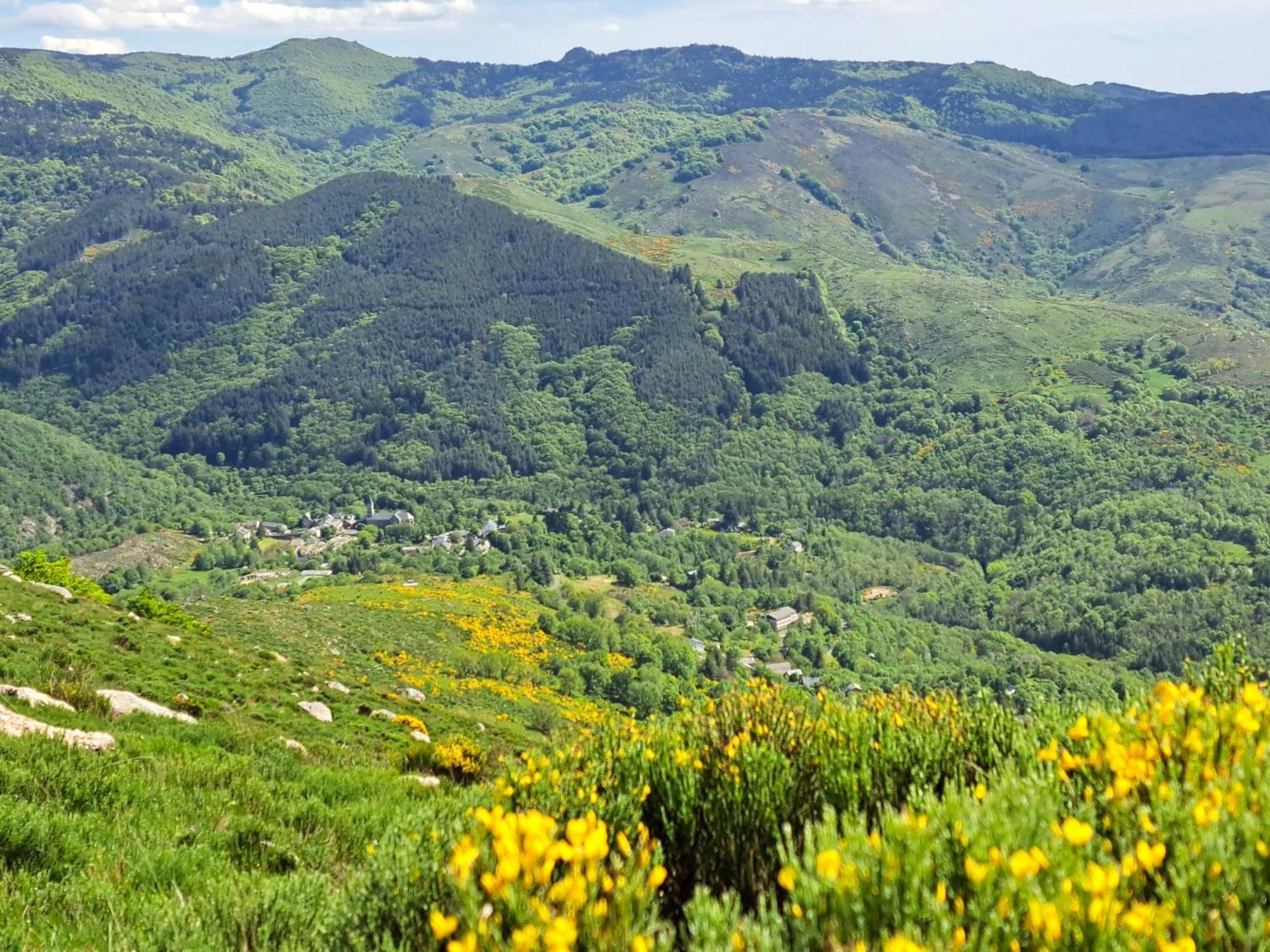 La Bouletiere Bed & Breakfast Dourbies Bagian luar foto