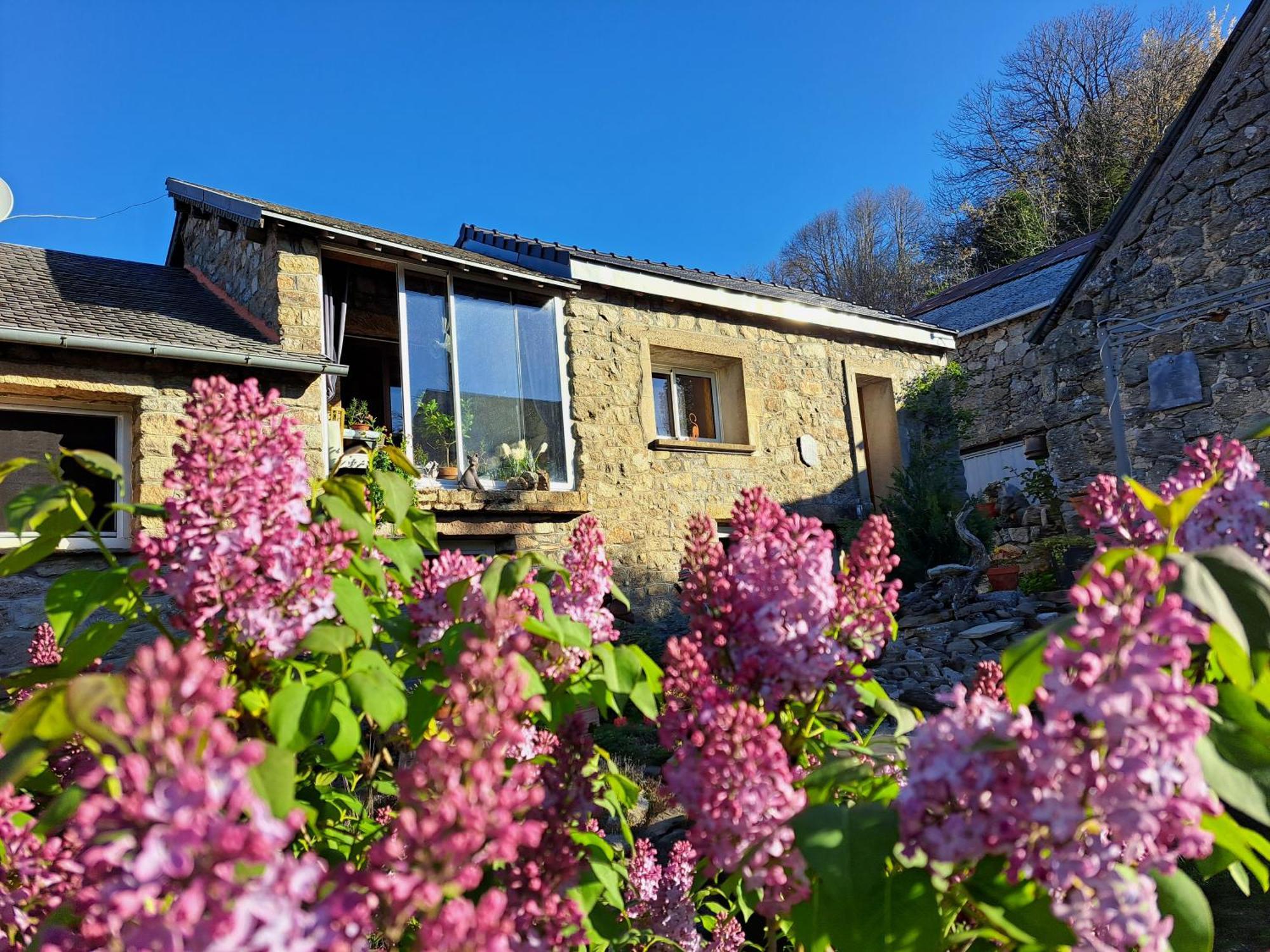 La Bouletiere Bed & Breakfast Dourbies Bagian luar foto