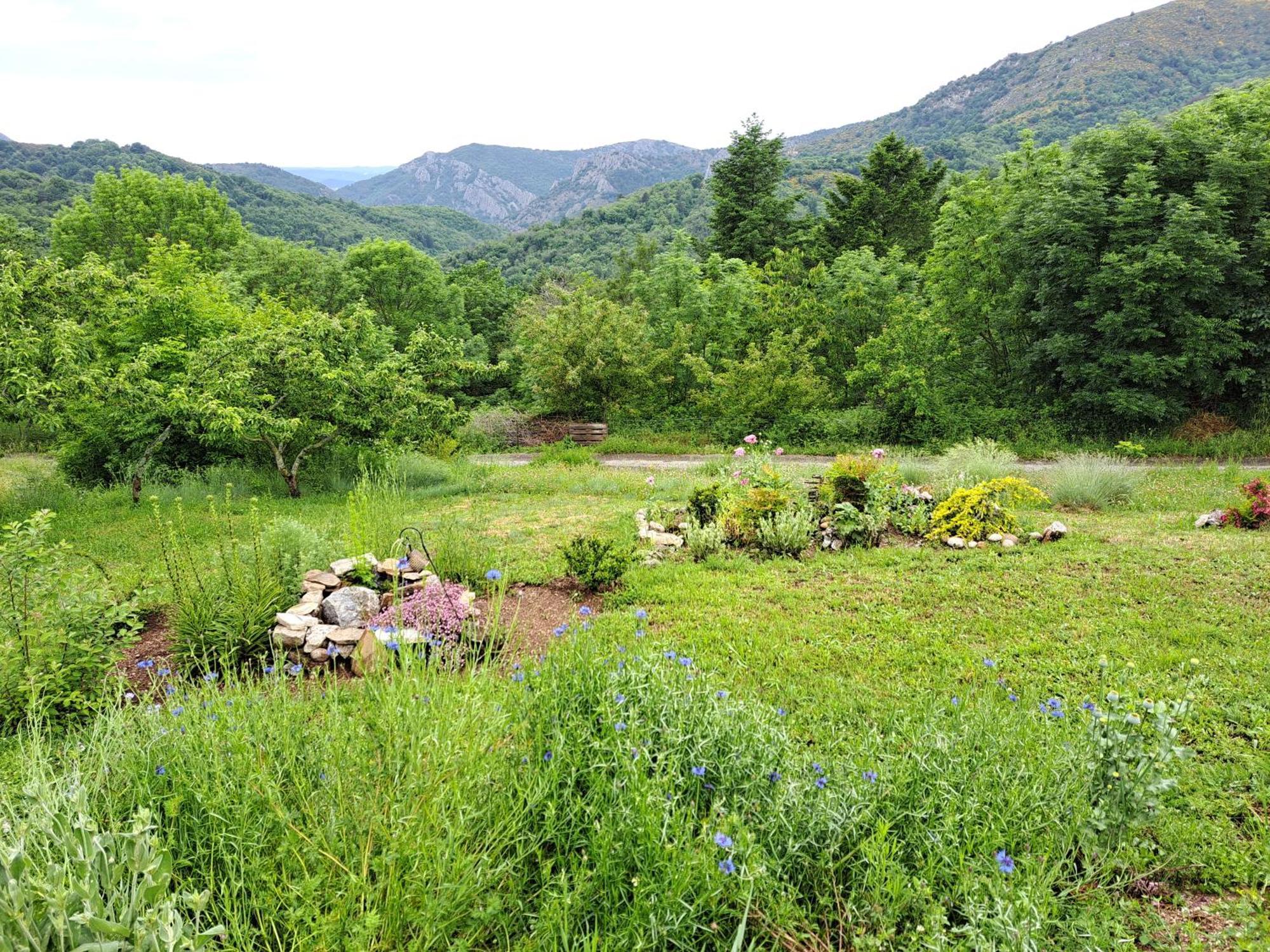 La Bouletiere Bed & Breakfast Dourbies Bagian luar foto